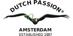Dutch Passion Seeds Dutch Passion Seeds