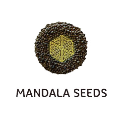 Mandala Seeds Mandala Seeds